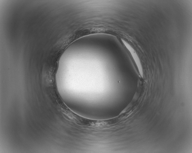 X0000053110517200507251700
