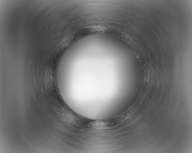 X0000053110518200507251700