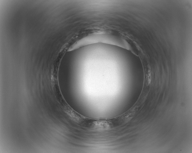 X0000053110520200507251700