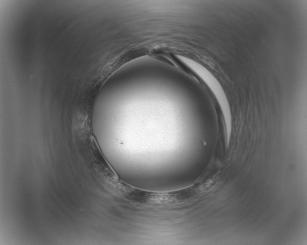 X0000053110521200507251700