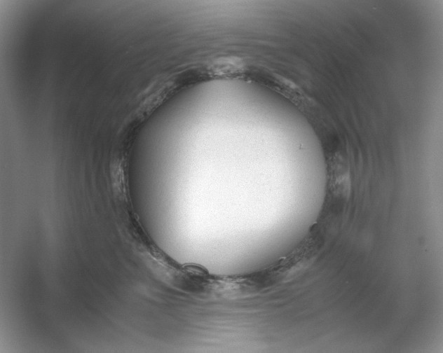 X0000053110523200507251700