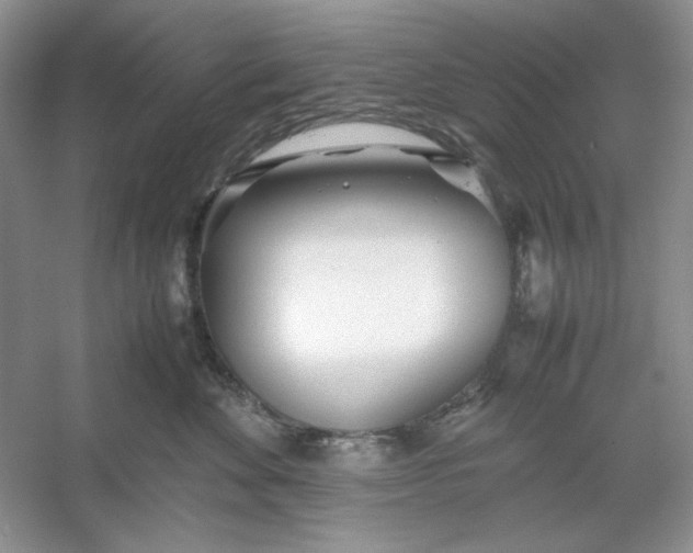 X0000053110524200507251700