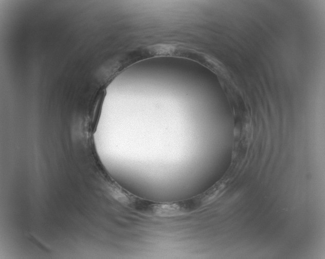 X0000053110525200507251700