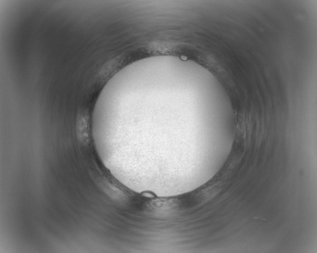 X0000053110526200507251700