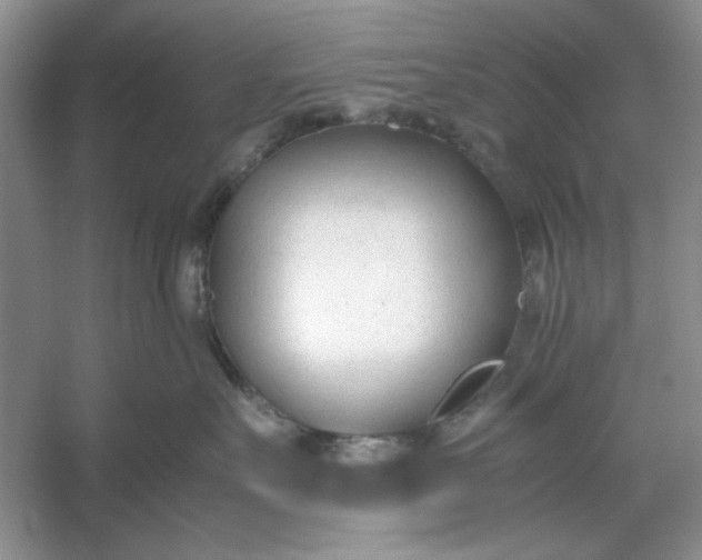 X0000053110527200507251700
