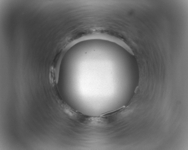 X0000053110528200507251700