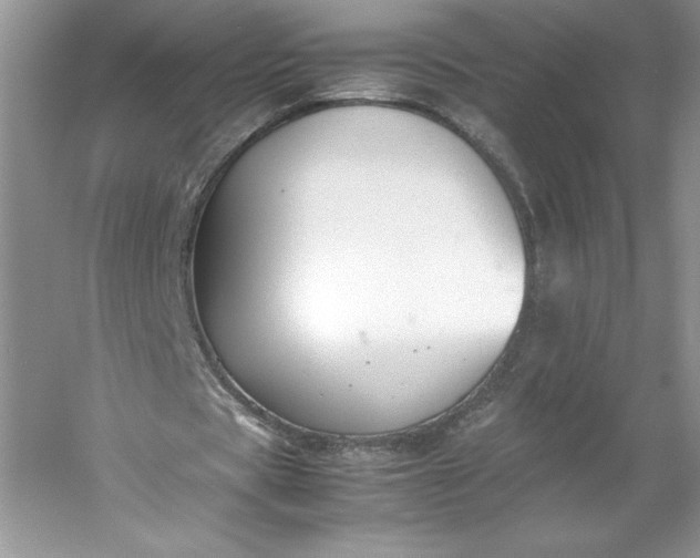 X0000053110529200507251659