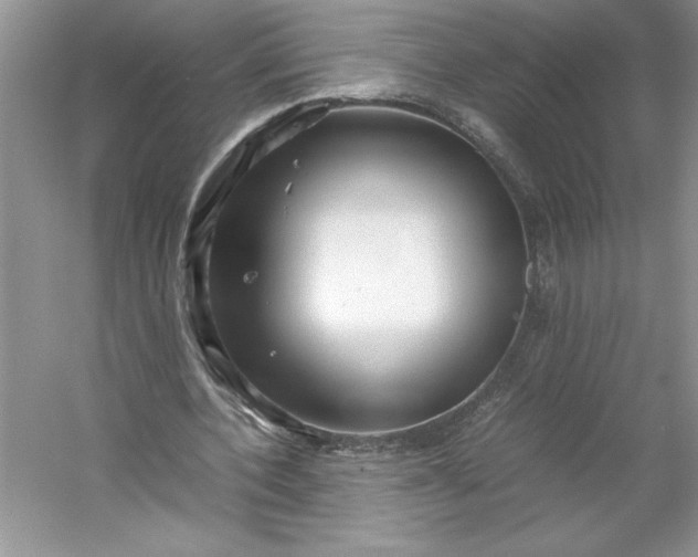 X0000053110532200507251659
