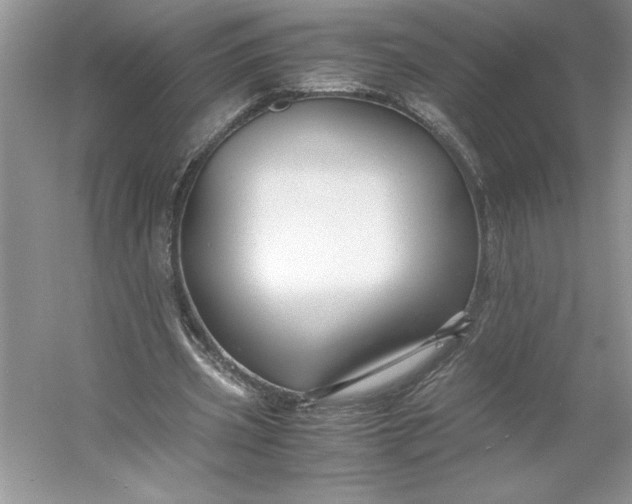 X0000053110533200507251659