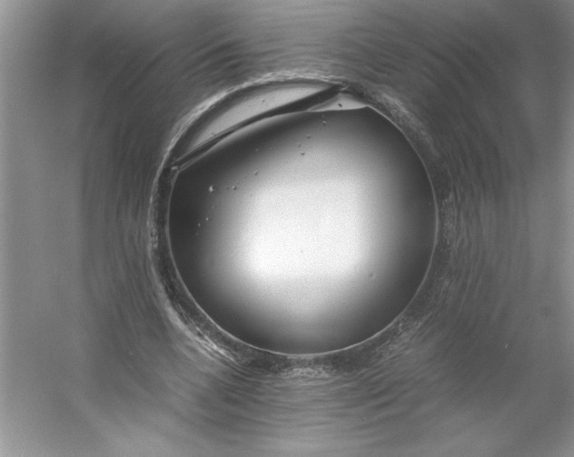X0000053110536200507251659