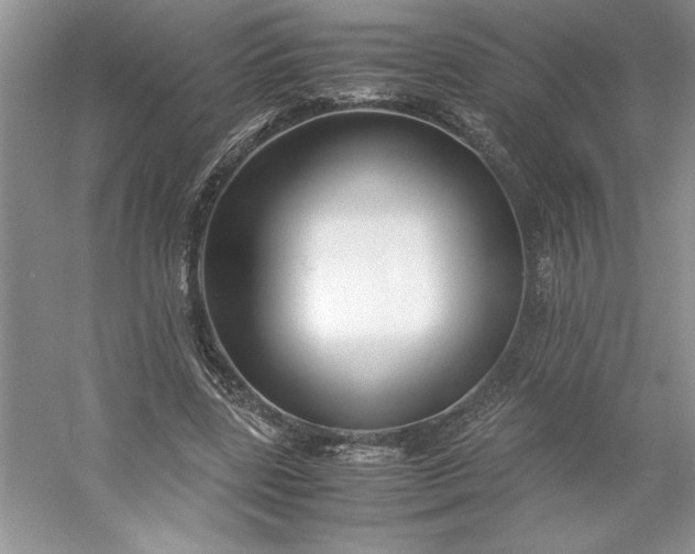 X0000053110539200507251659