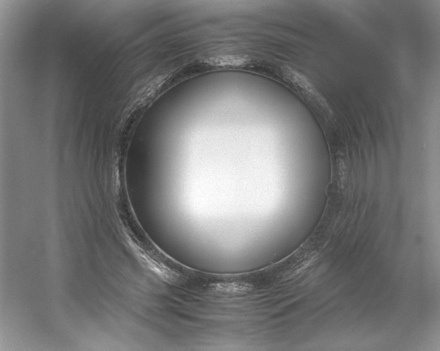 X0000053110541200507251659