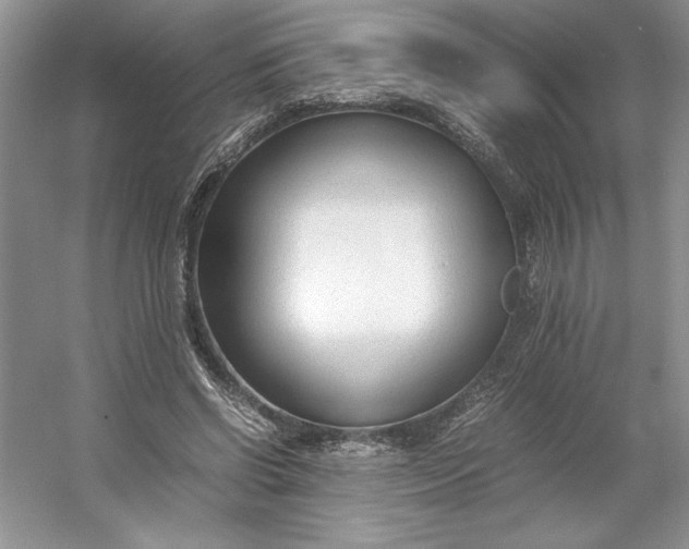 X0000053110542200507251659
