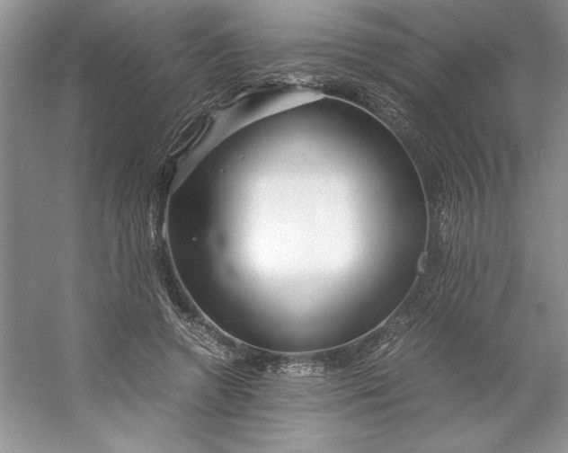 X0000053110546200507251659