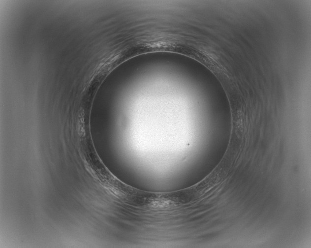 X0000053110547200507251659
