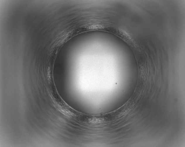 X0000053110549200507251700