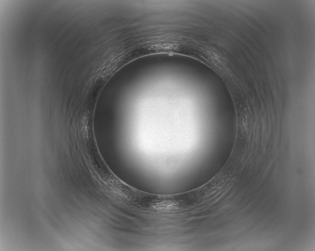 X0000053110551200507251700