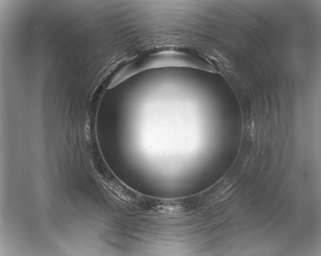 X0000053110552200507251700