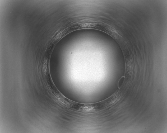 X0000053110554200507251700