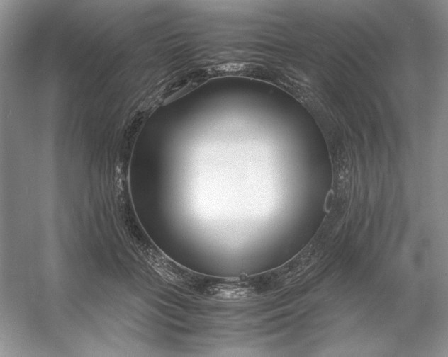 X0000053110555200507251700