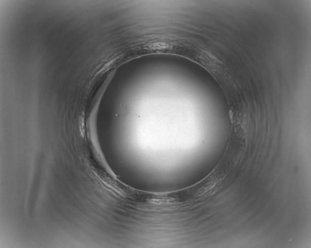X0000053110556200507251700
