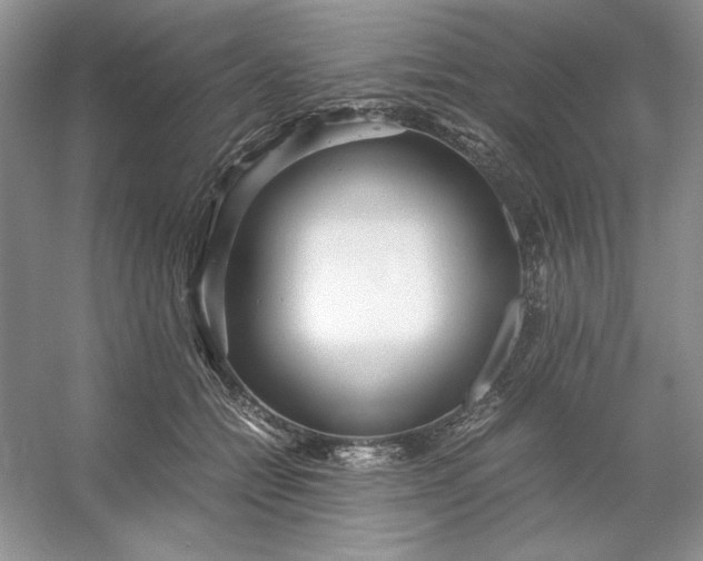 X0000053110558200507251700