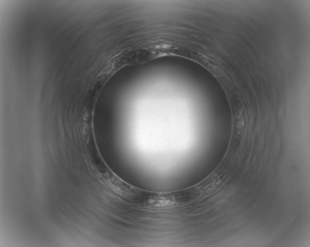 X0000053110559200507251700