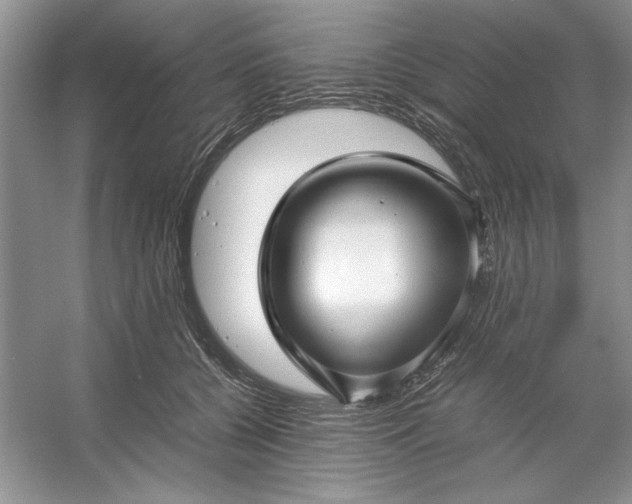 X0000053110560200507251700