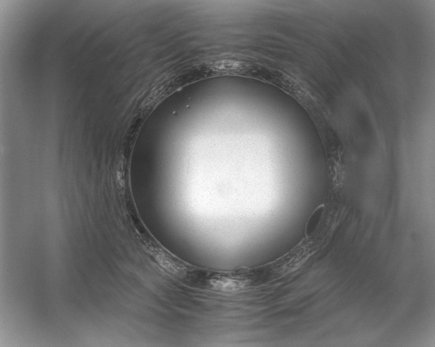 X0000053110561200507251700