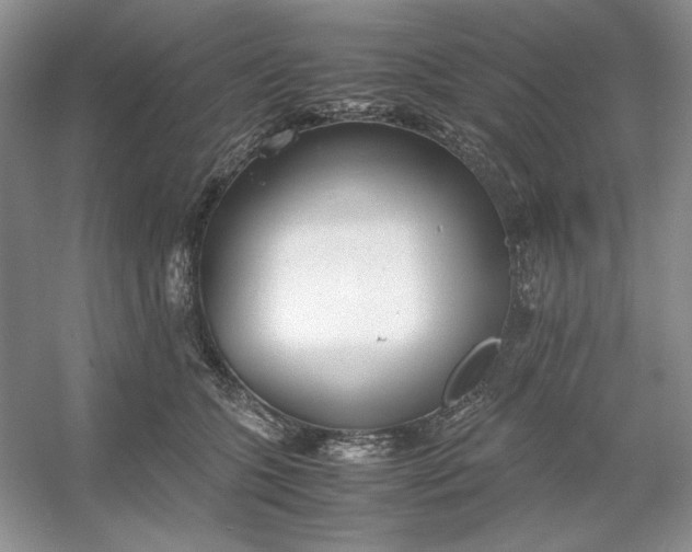 X0000053110563200507251700