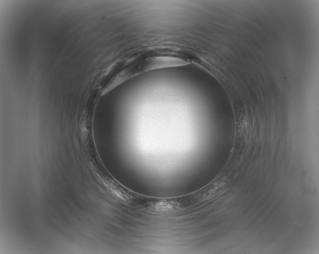 X0000053110566200507251700