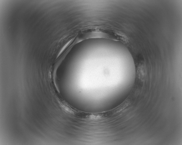 X0000053110570200507251700