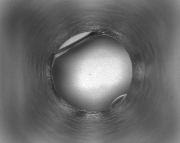 X0000053110571200507251700