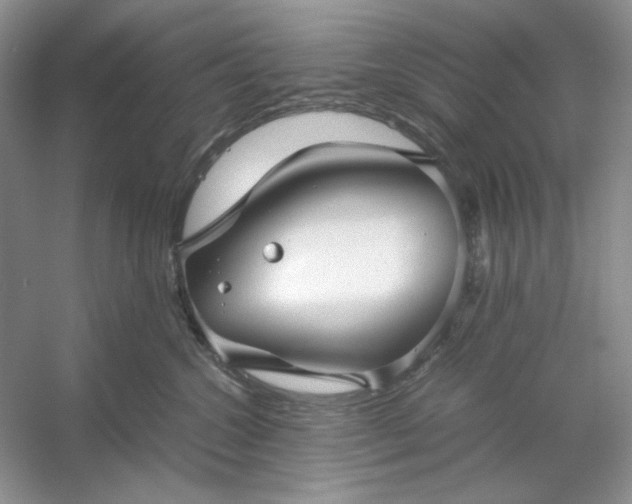 X0000053110572200507251700