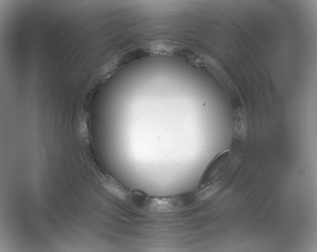 X0000053110573200507251700