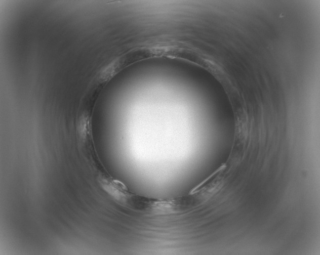 X0000053110574200507251700