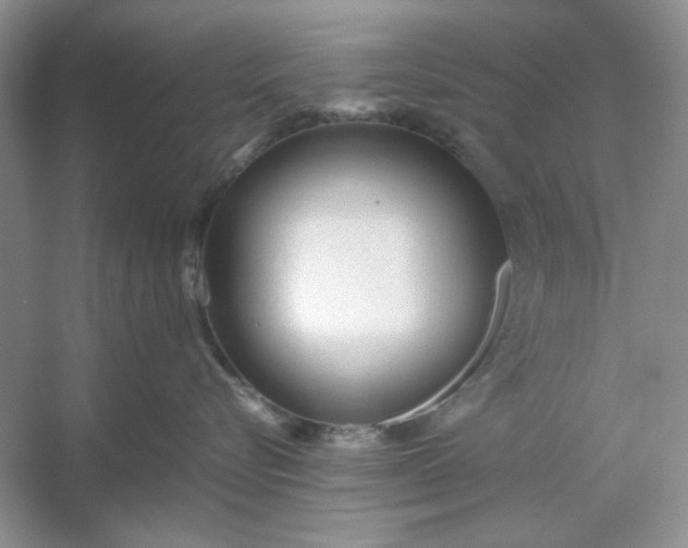 X0000053110576200507251700