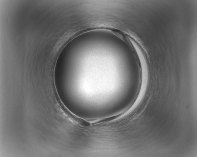 X0000053110577200507251659