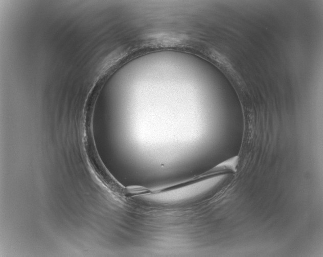X0000053110582200507251659