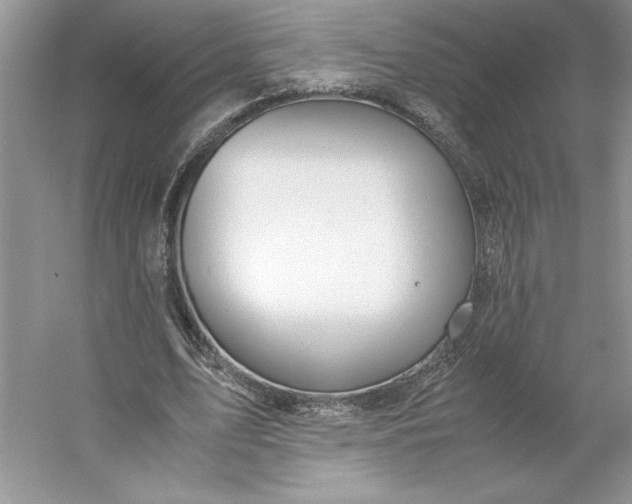 X0000053110583200507251659