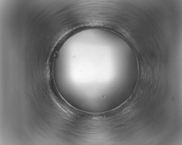 X0000053110584200507251659