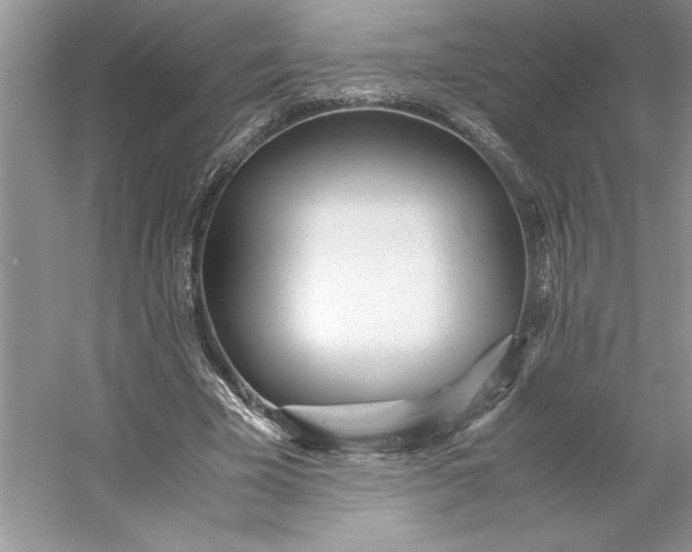 X0000053110585200507251659