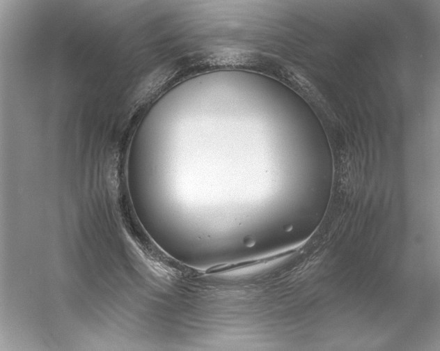X0000053110586200507251659