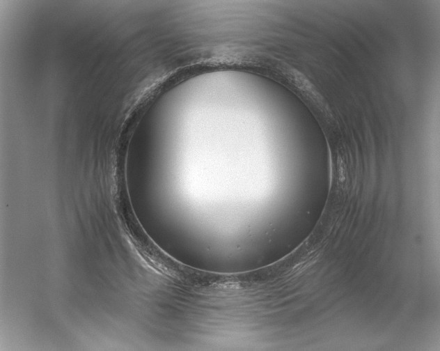 X0000053110588200507251659