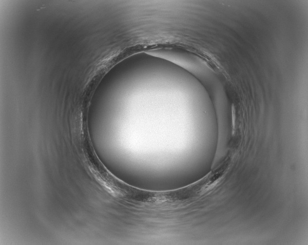 X0000053110589200507251659