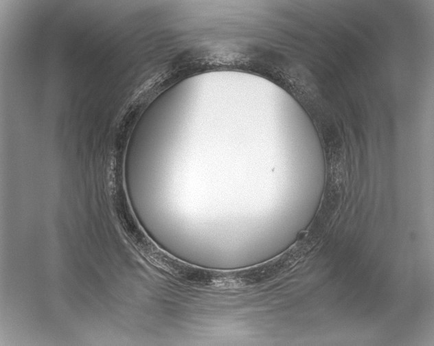 X0000053110591200507251659