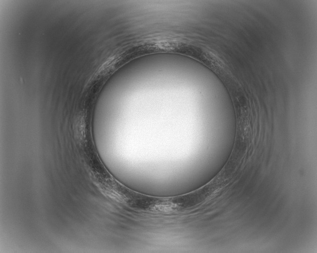 X0000053110595200507251659