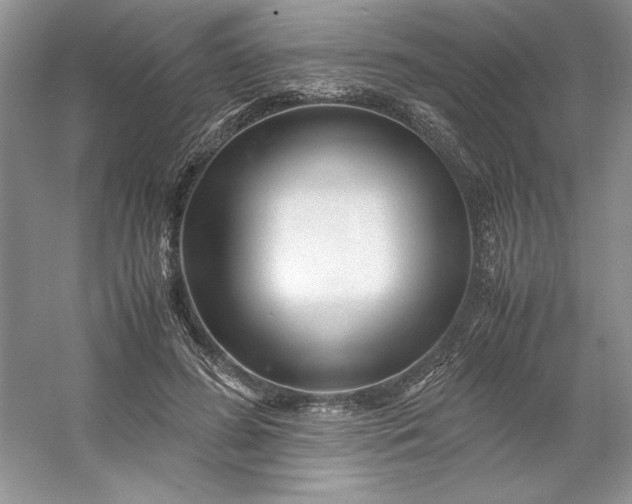 X0000053110596200507251659