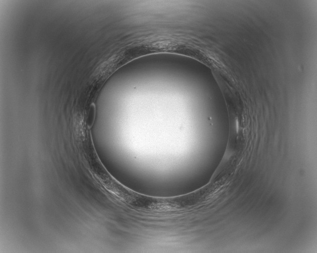 X0000053110597200507251659