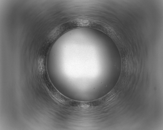 X0000053110598200507251659